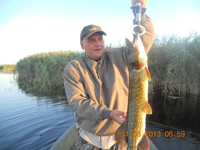 Delta Dunarii - delta141.jpg